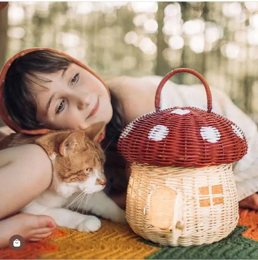 Organizer Basket - Mushroom